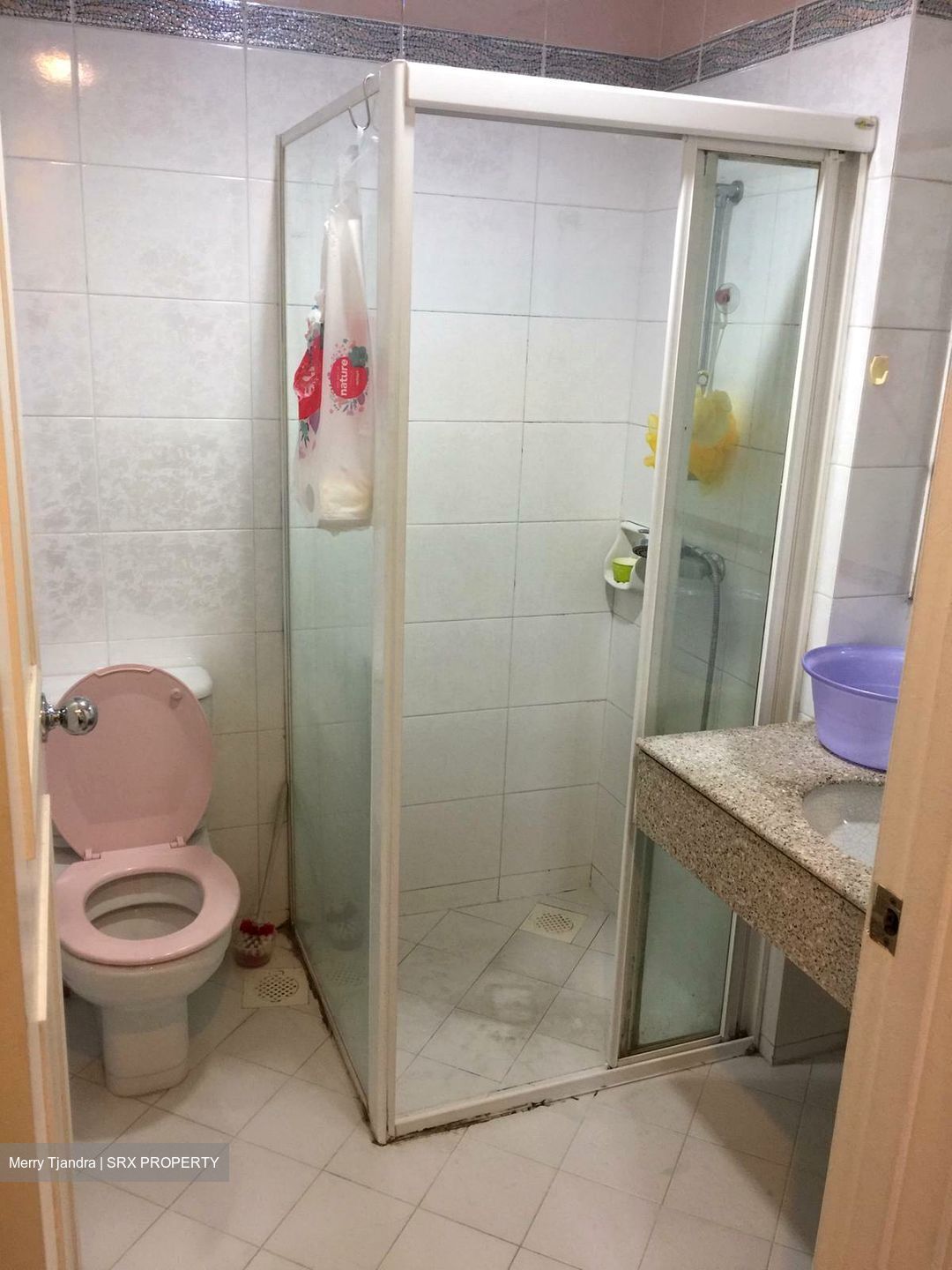 Oleander Towers (D12), Apartment #610242391